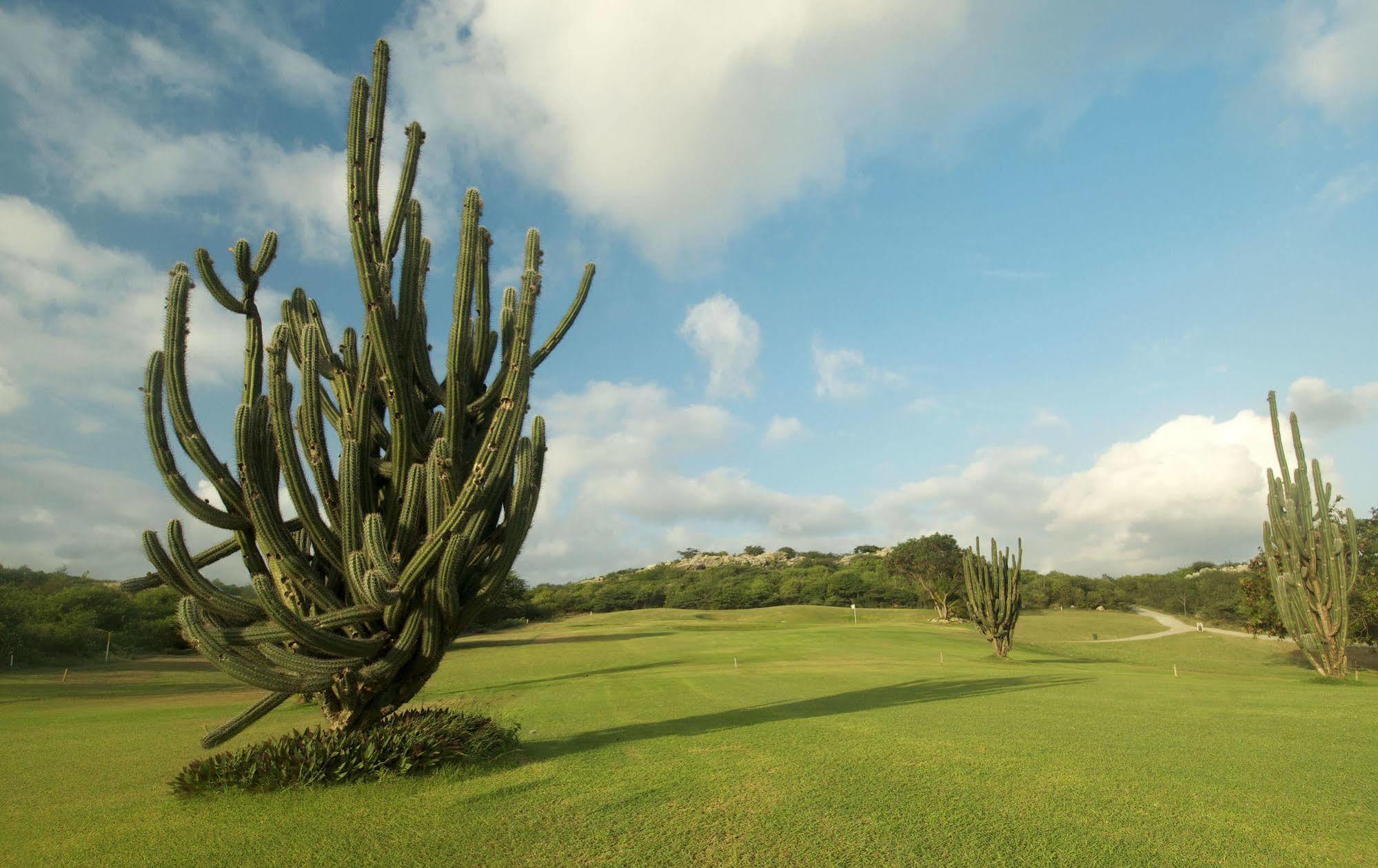 Bayside Boutique Hotel - Blue Bay Golf & Beach Resort Dorp Dorp Sint Michiel Exteriör bild